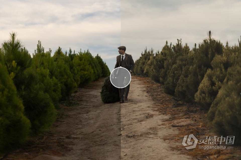 INS大神Shortstache RGB电影色彩LR预设 DVLOP -Shortstache -RGB Presets  灵感中国网 www.lingganchina.com