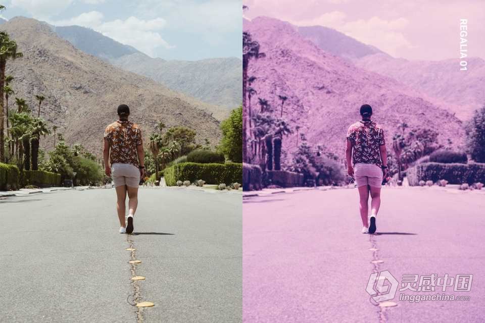 超现实紫色梦幻电影AI人工智能Lightroom预设及电影LUT预设  灵感中国网 www.lingganchina.com