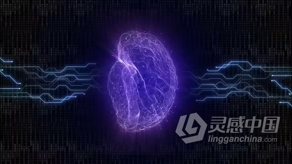 视频素材-垂直3D人工智能大脑和AI技术背景循环视频素材下载  灵感中国网 www.lingganchina.com