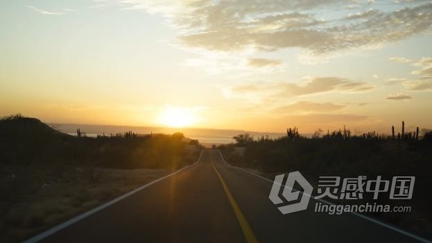 视频素材-伴随着路边的仙人掌和树木汽车行驶在夕阳下的公路上视频素材下载  灵感中国网 www.lingganchina.com
