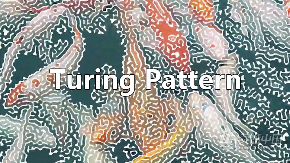 中文汉化AE插件-创意抽象图灵纹理效果生成工具 Turing Pattern v1.0 Win版本免费下载  灵感中国网 www.lingganchina.com