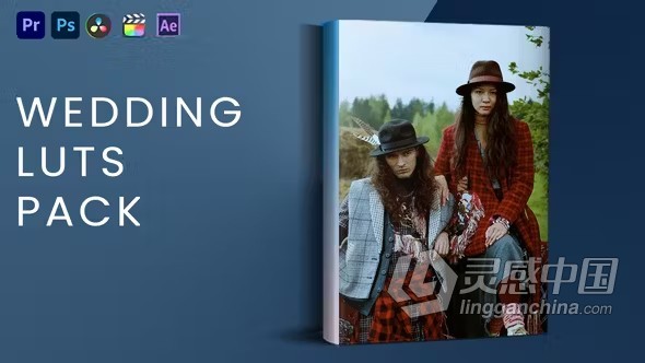 10个清新效果视频大片干净滤镜婚礼调色Wedding Luts Pack  灵感中国网 www.lingganchina.com
