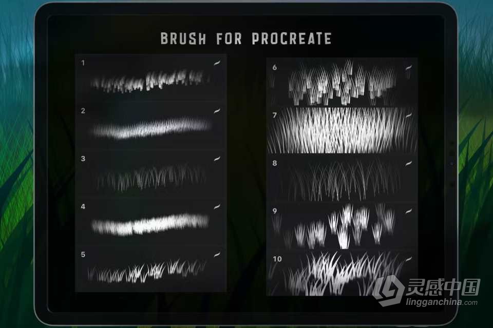 逼真的草地手绘插画Procreate笔刷 Dansdesign Grass Procreate Brush  灵感中国网 www.lingganchina.com