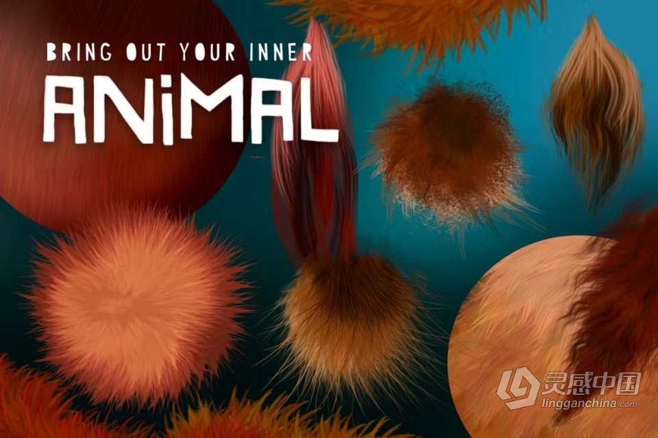 35支逼真毛茸茸动物鸟兽皮毛插画Procreate笔刷 Animal Fur 2  灵感中国网 www.lingganchina.com