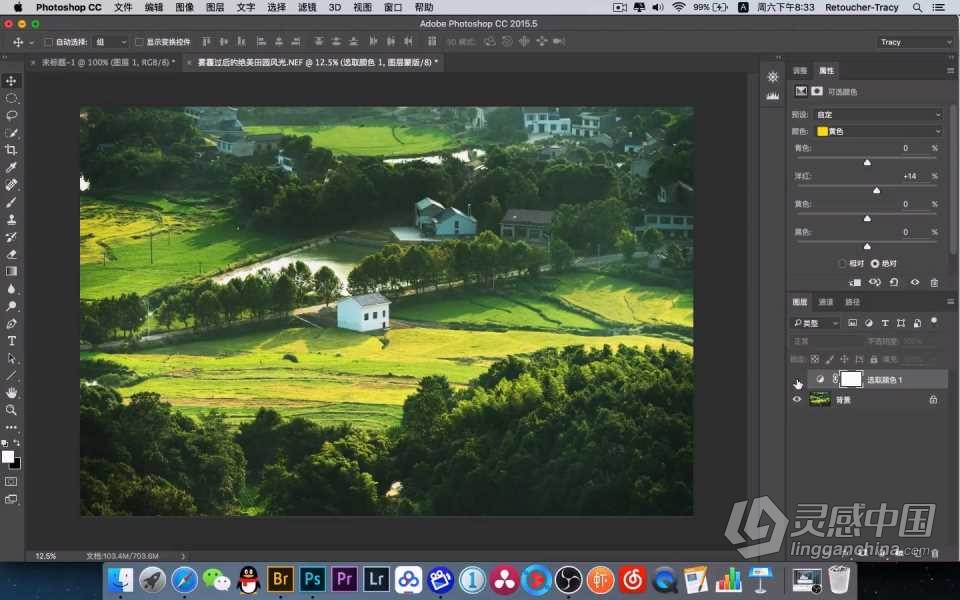 Tracy 风光摄影后期调色12天特训班中文视频教程+RAW原图素材  灵感中国社区 www.lingganchina.com