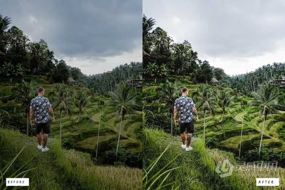 12个魔法电影人像Lightroom预设 Magic Portrait Lightroom Presets  灵感中国网 www.lingganchina.com