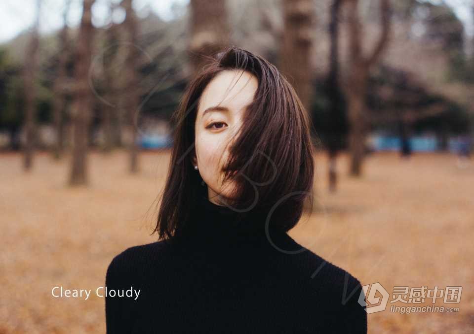 酒井贵弘日系人像写真LR预设 Curbon Takahiro Sakai Portrait Collection  灵感中国网 www.lingganchina.com