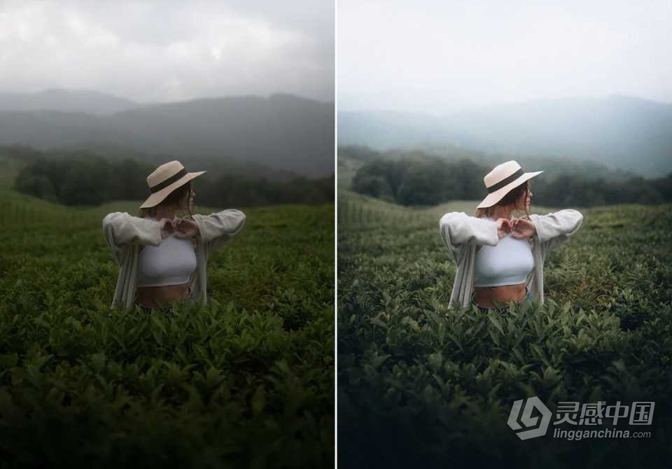 WithLuke 电影风光大师系列LR预设(2022) WithLuke - Master Collection (2022)  灵感中国网 www.lingganchina.com