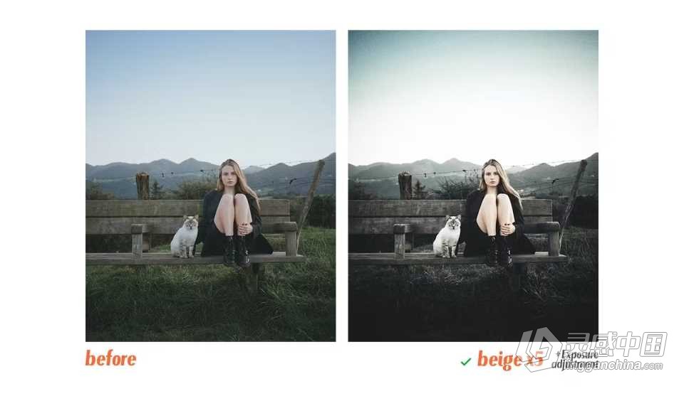 奢华米**绪人像Lightroom预设 Beige Lightroom Presets  灵感中国网 www.lingganchina.com
