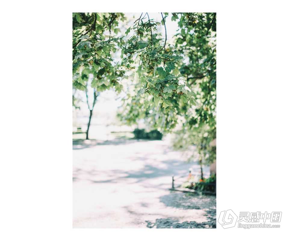 婚礼跟拍摄影电影胶片人像Lightroom预设 Presetr - Three Lightroom Presets  灵感中国网 www.lingganchina.com