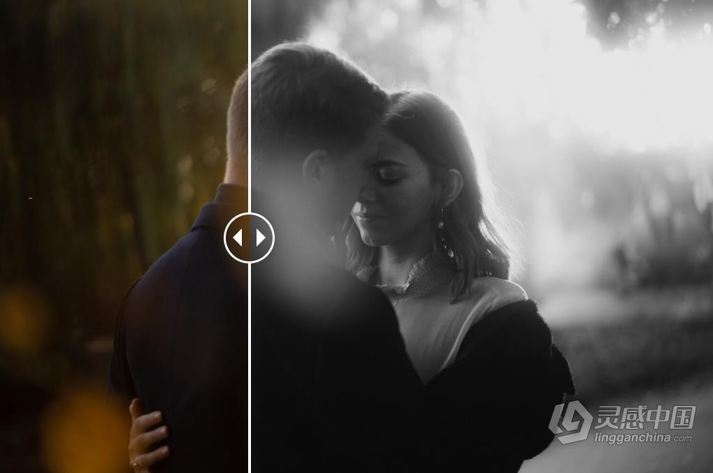 文艺复兴情绪人像Lightroom预设 Legacy Presets-Muse &amp; Mirror-True Romance  灵感中国网 www.lingganchina.com
