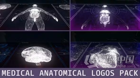 AE模板-医学解剖HUD标志高科技技术动画AE模板下载 Medical Anatomical Logos Pack  灵感中国网 www.lingganchina.com