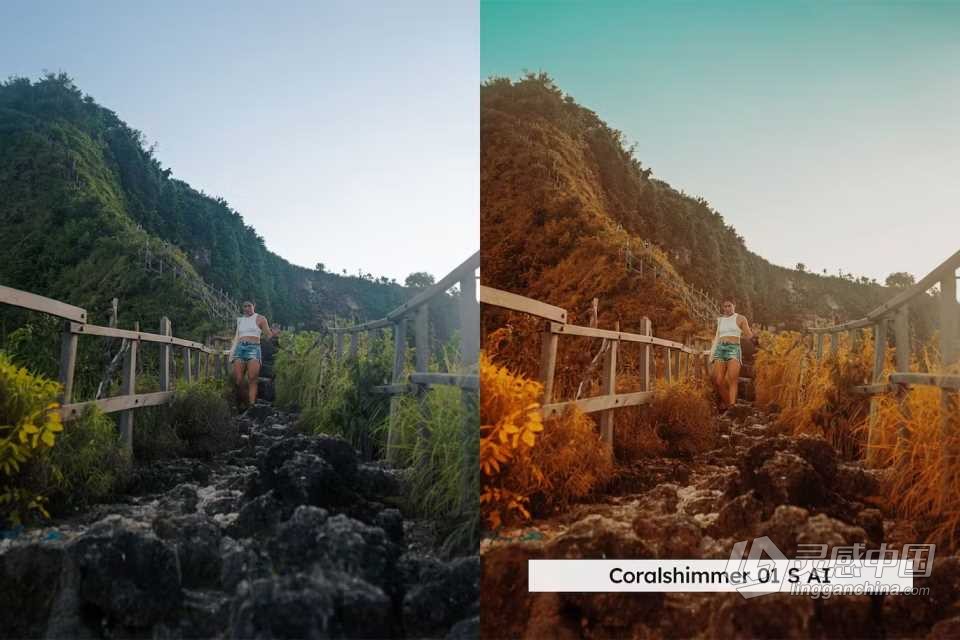 旅拍红外电影风光AI人工智能Lightroom预设及电影调色LUT设 Vivid Infrared 20 Lightroom and luts  灵感中国网 www.lingganchina.com
