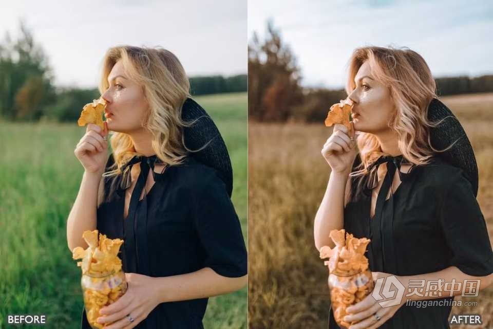 黄金时段LR预设 Golden Hour Bright Blogger Insta Lightroom Presets  灵感中国网 www.lingganchina.com