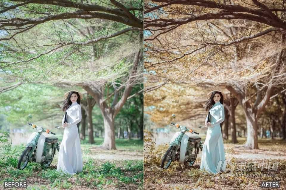 黄金时段LR预设 Golden Hour Bright Blogger Insta Lightroom Presets  灵感中国网 www.lingganchina.com