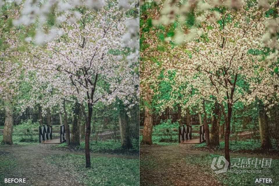 电影风光胶片Lightroom预设 Best Landscape and Nature Lightroom Presets  灵感中国网 www.lingganchina.com