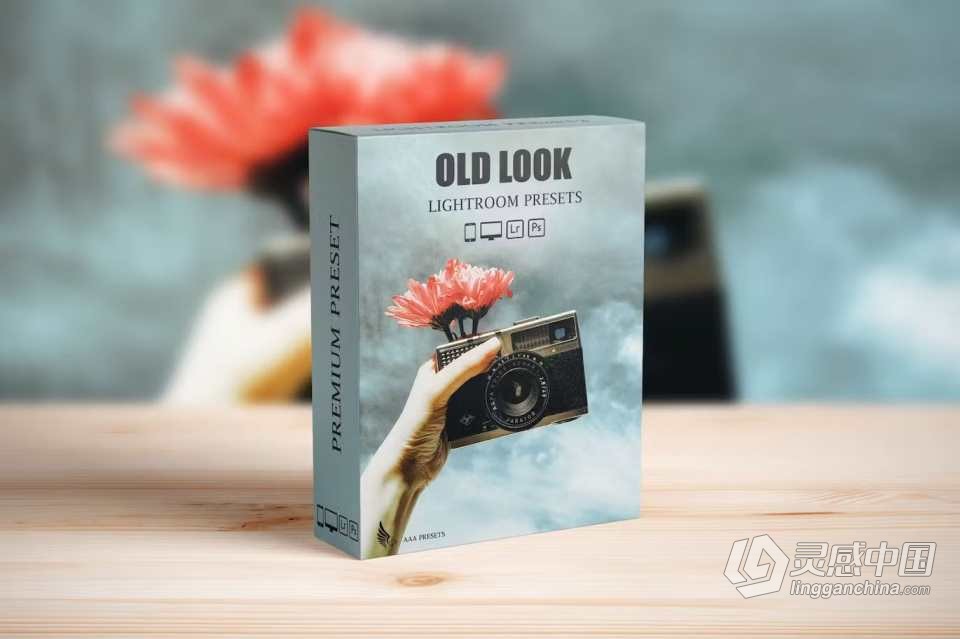 复古电影怀旧胶片lr预设 Retro Vintage Old Look Lightroom Presets  灵感中国网 www.lingganchina.com