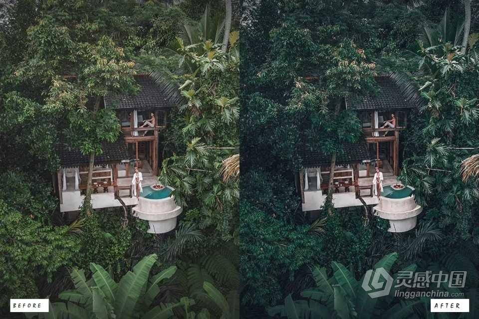 暗绿**绪人像Lightroom预设 10 Dark &amp; Moody Green Lightroom Presets  灵感中国网 www.lingganchina.com