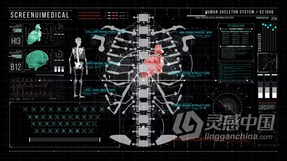 人体HUD元素生命体征健身医疗用户界面AE模板下载 HUD700 Screen MEDICAL3  灵感中国网 www.lingganchina.com