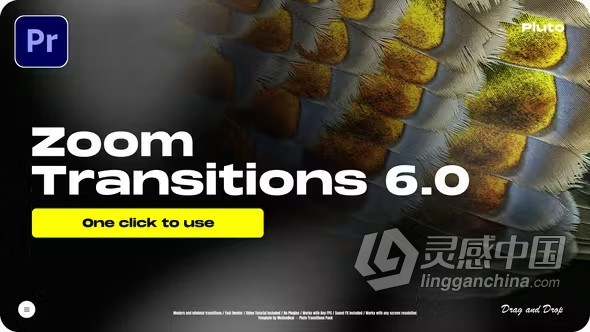 实用炫酷缩放视觉冲击感无缝转场动画PR模板下载 Zoom Transitions 6.0 - For Premiere Pro  灵感中国网 www.lingganchina.com
