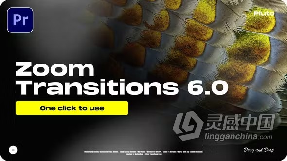 实用炫酷缩放视觉冲击感无缝转场动画PR模板下载 Zoom Transitions 6.0 - For Premiere Pro  灵感中国社区 www.lingganchina.com