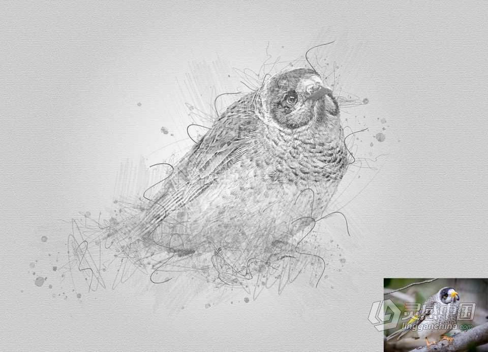素描肖像绘画Photoshop动作 Drawing Sketch Photoshop Action 附视频教程  灵感中国网 www.lingganchina.com