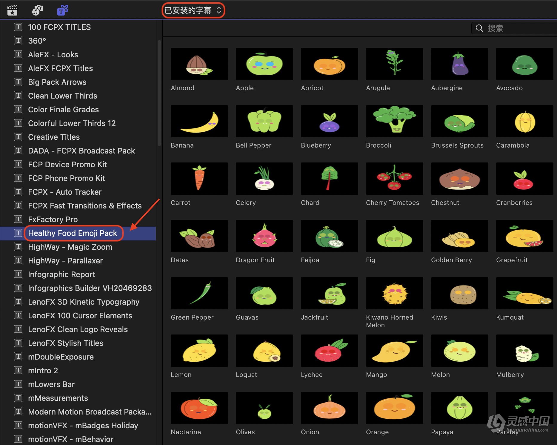 FCPX插件-66个卡通瓜果蔬菜水果美食表情动画 Healthy Food Emoji Pack  灵感中国网 www.lingganchina.com