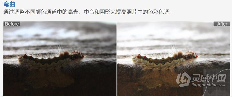 图片创意设计快速编辑处理软件 PT Photo Editor Pro 5.10.2 Win中文版  灵感中国网 www.lingganchina.com