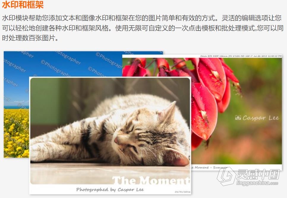 图片创意设计快速编辑处理软件 PT Photo Editor Pro 5.10.2 Win中文版  灵感中国社区 www.lingganchina.com