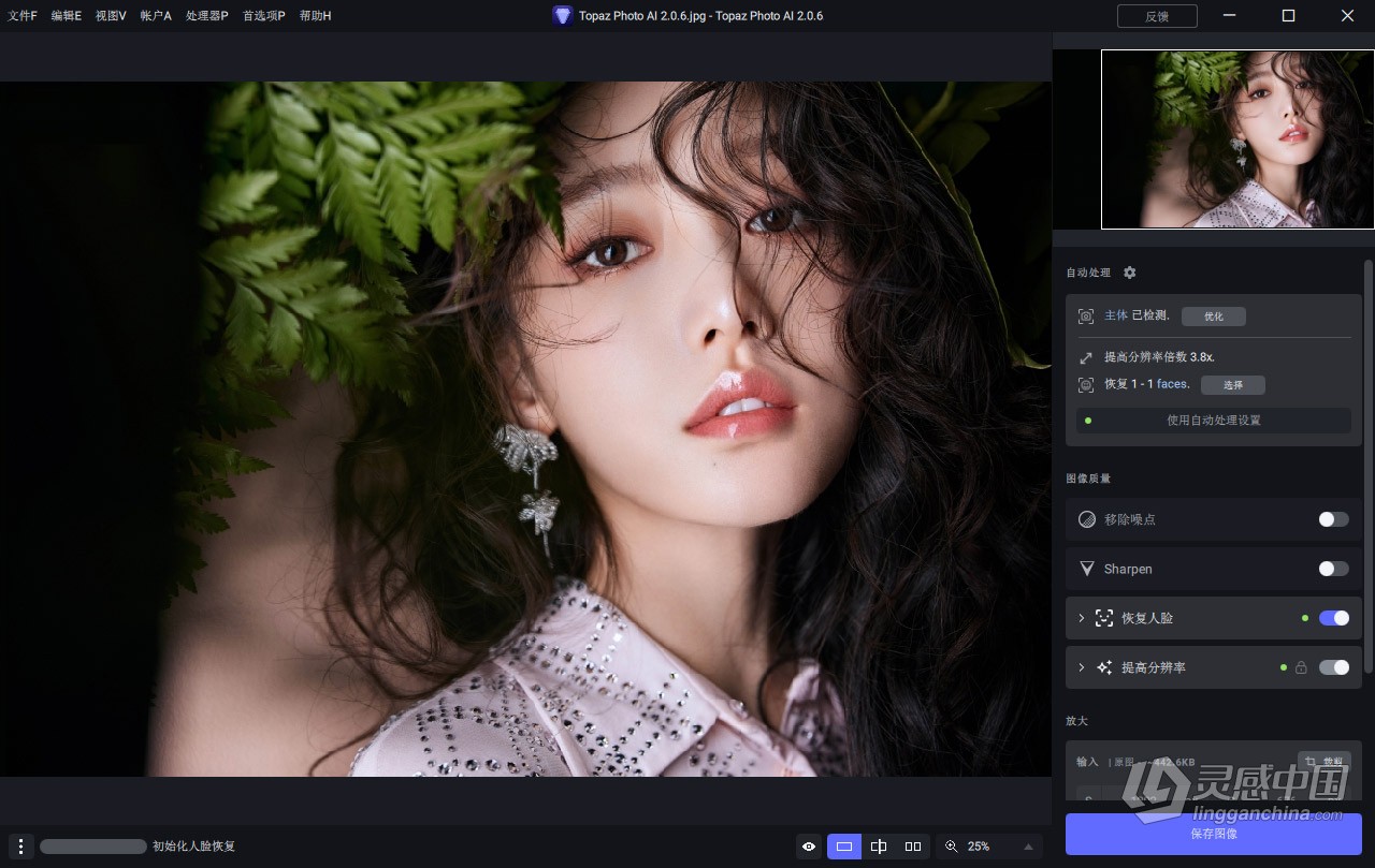 Topaz Photo AI v2.0.6 汉化版+AI模型 AI智能图像自动降噪锐化增强无损放大软件 Win汉化中文版  灵感中国网 www.lingganchina.com