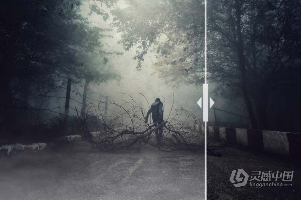 30张晨雾浓雾薄雾朦胧雾气照片叠加图片素材+PS动作 30 Fog Photo Overlays 2.0  灵感中国网 www.lingganchina.com