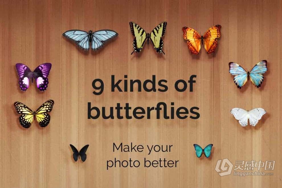 52张高分辨率漂亮蝴蝶照片叠加PNG素材+PS动作 52+ Butterflies Photo Overlays  灵感中国网 www.lingganchina.com