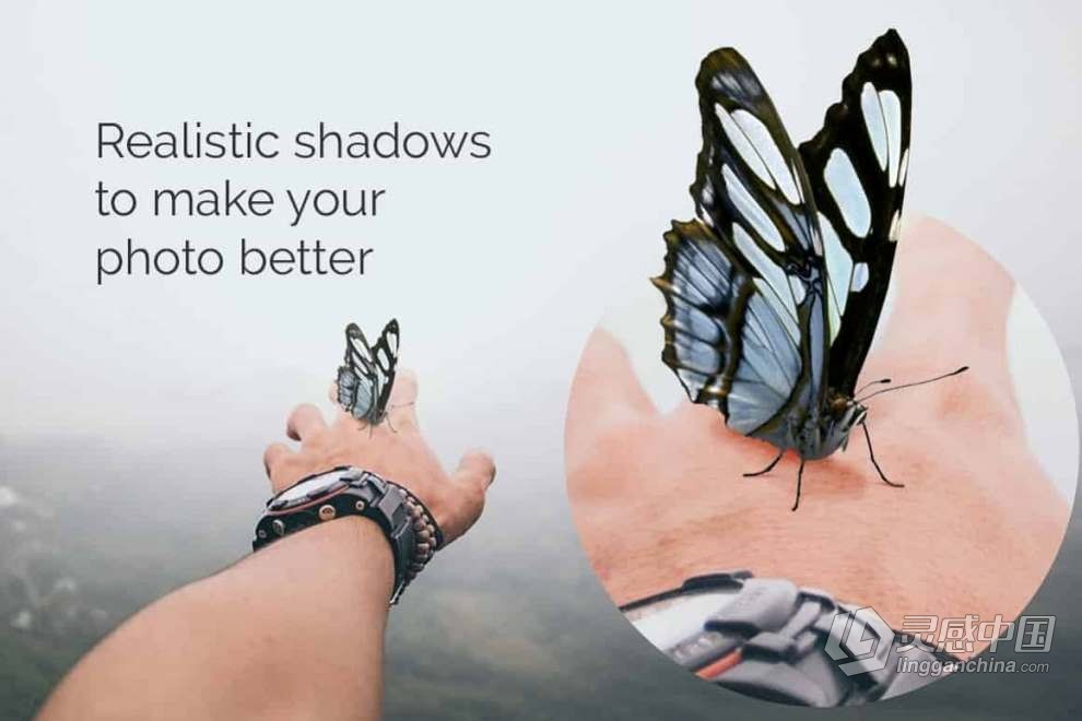 52张高分辨率漂亮蝴蝶照片叠加PNG素材+PS动作 52+ Butterflies Photo Overlays  灵感中国网 www.lingganchina.com