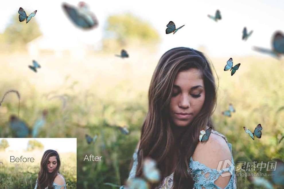 52张高分辨率漂亮蝴蝶照片叠加PNG素材+PS动作 52+ Butterflies Photo Overlays  灵感中国网 www.lingganchina.com
