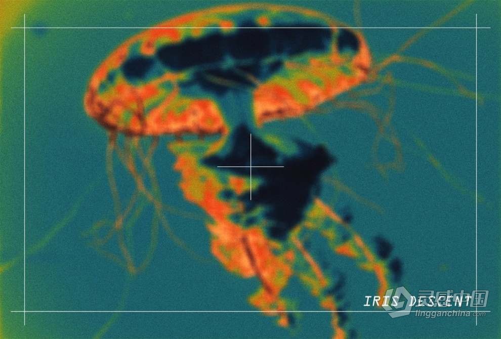 12个奇特复古迷幻扭曲特效酸性肌理图像效果PSD模板/PS动作 Psychedelic Texture Kit  灵感中国网 www.lingganchina.com