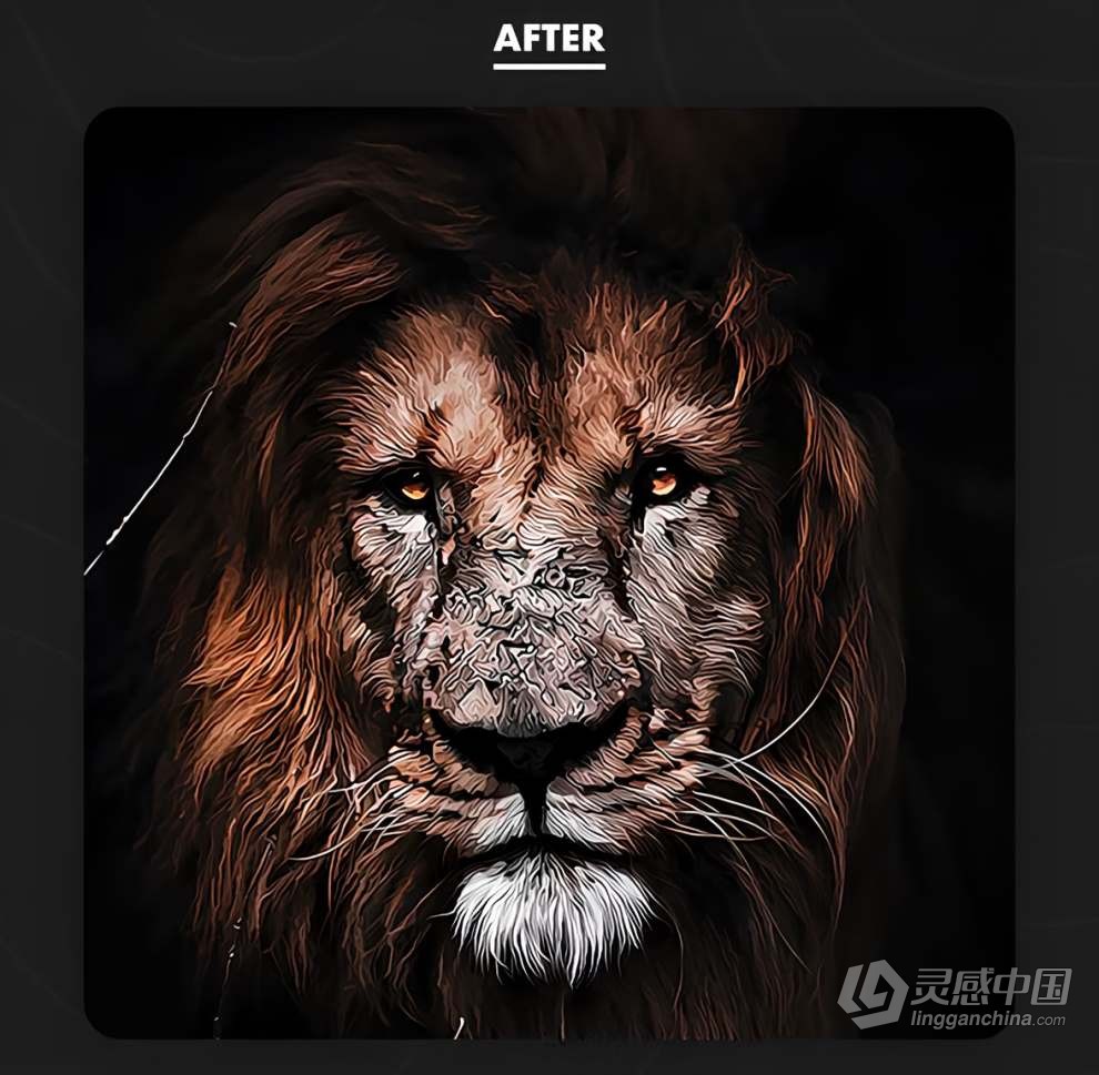 4合1照片转手绘漫画卡通油画半色调效果PS特效动作 4 in 1 Cartoon Bundle Photoshop Actions  灵感中国网 www.lingganchina.com