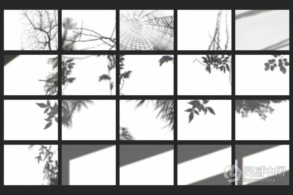 62张植物窗户网格阴影效果图片叠加素材+PS动作 Organic Shadow Photo Overlays  灵感中国网 www.lingganchina.com