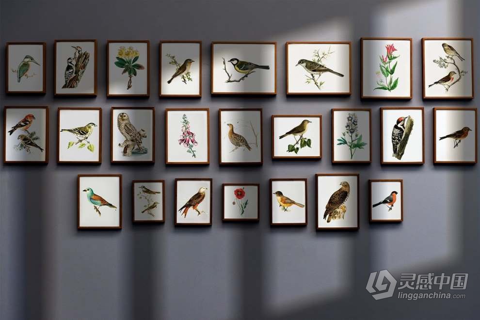 62张植物窗户网格阴影效果图片叠加素材+PS动作 Organic Shadow Photo Overlays  灵感中国网 www.lingganchina.com