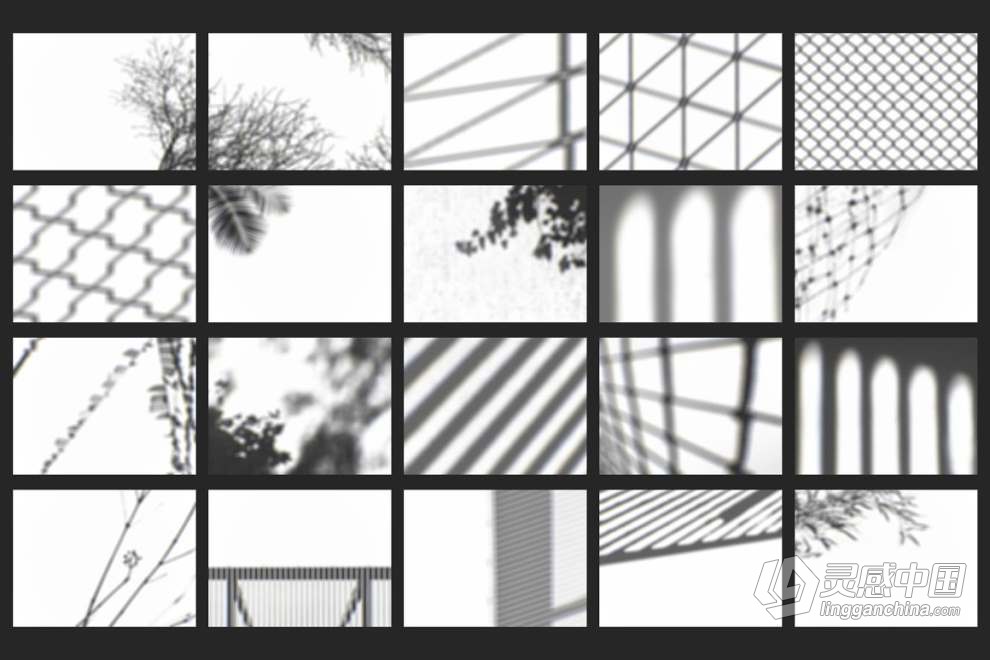 62张植物窗户网格阴影效果图片叠加素材+PS动作 Organic Shadow Photo Overlays  灵感中国网 www.lingganchina.com