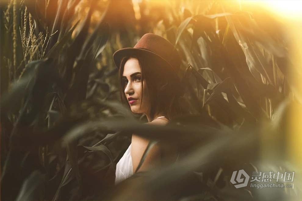 49张专业摄影镜头光晕叠加图片素材+PS动作 Pro Photography Lens Flare Overlays  灵感中国网 www.lingganchina.com