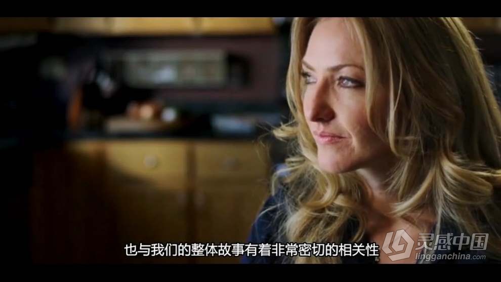 Stillmotion 用镜头讲故事 影视制作理论视频教程 中文字幕  灵感中国网 www.lingganchina.com