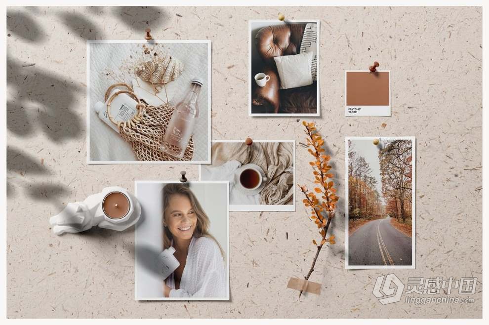 26种自然光线阴影背景纹理叠加情绪板场景模型PS样机 Moodboard Mockups – Scene Creator  灵感中国网 www.lingganchina.com
