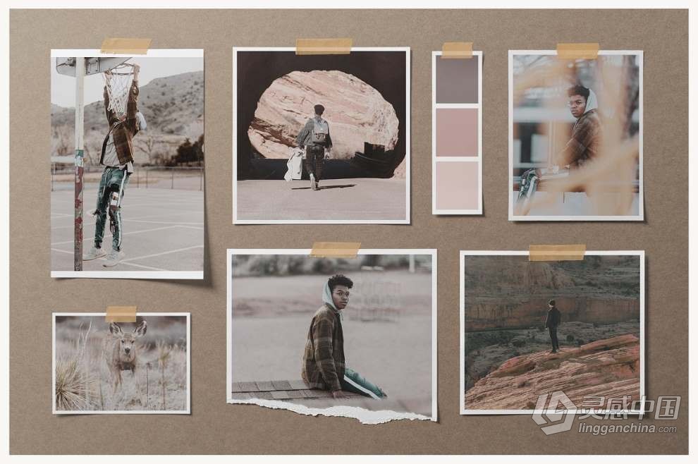 26种自然光线阴影背景纹理叠加情绪板场景模型PS样机 Moodboard Mockups – Scene Creator  灵感中国网 www.lingganchina.com