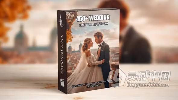 450个专业高级浪漫爱情婚礼视频LUT调色预设 Premium Wedding LUTs Mega Bundle  灵感中国社区 www.lingganchina.com