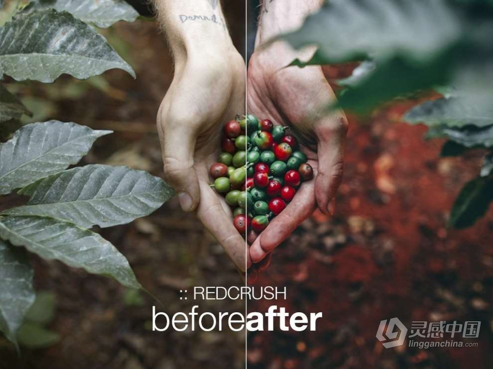 摄影师 Peter Mckinnon 15款户外人像情绪摄影后期调色Lightroom预设 PM Lightroom V1 FALL Presets 2017  灵感中国网 www.lingganchina.com