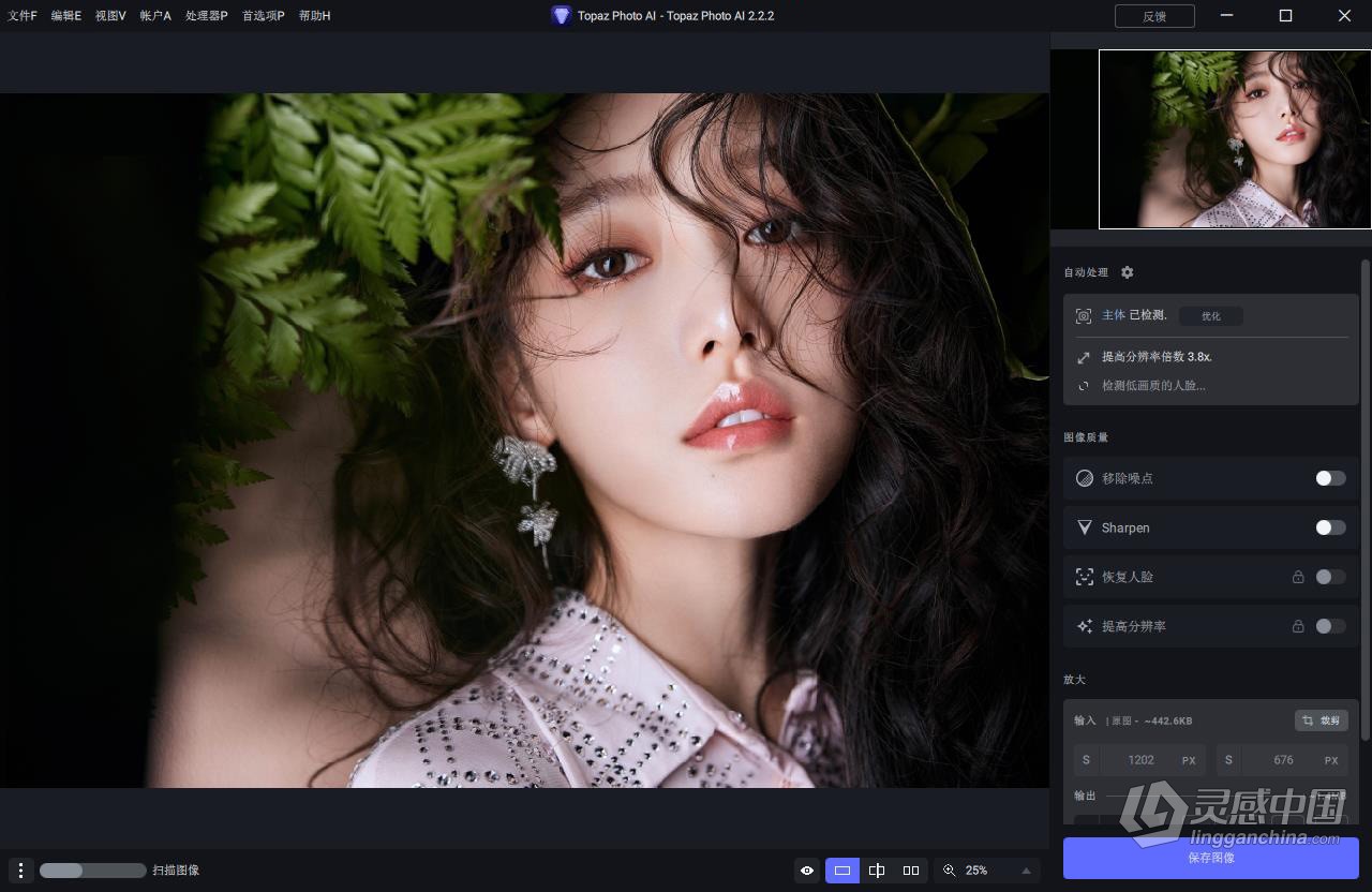 Topaz Photo AI v2.2.2 汉化版+AI模型 AI智能图像自动降噪锐化增强无损放大软件 Win / Mac汉化中文版  灵感中国网 www.lingganchina.com