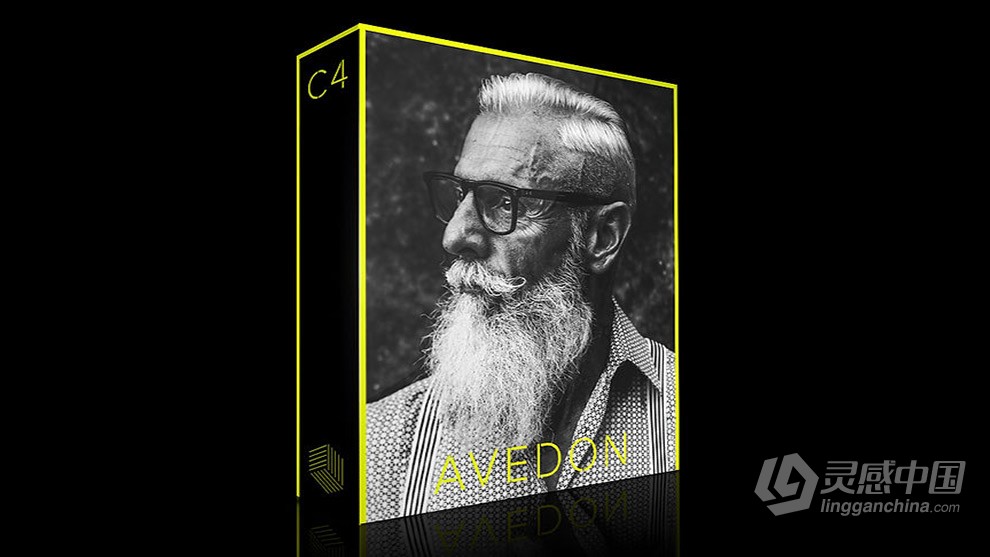 Richard Avedon - 经典影黑白胶片Lightroom预设 Avedon Lightroom Presets  灵感中国网 www.lingganchina.com