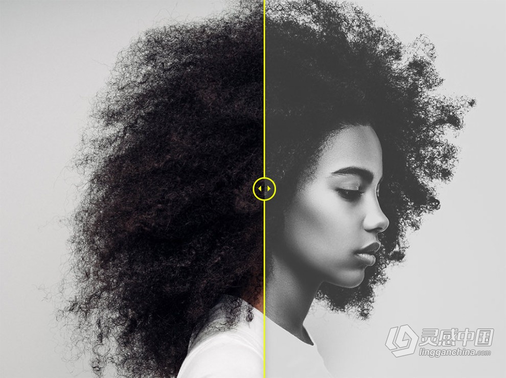 Richard Avedon - 经典影黑白胶片Lightroom预设 Avedon Lightroom Presets  灵感中国网 www.lingganchina.com