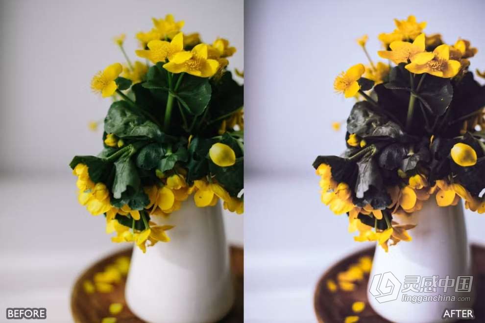 自然风光胶片人像Lightroom预设 Nature Lightroom Presets for mobile and desktop  灵感中国网 www.lingganchina.com