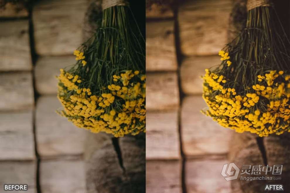 自然风光胶片人像Lightroom预设 Nature Lightroom Presets for mobile and desktop  灵感中国网 www.lingganchina.com